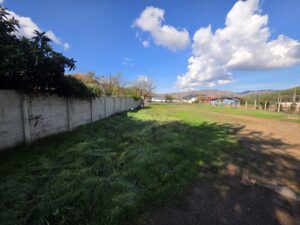 Marmaris’te Yüksek Prim Potansiyelli Satılık Tarla